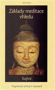Základy meditace vhledu (Pragmatický přístup k vipassaně) - obálka