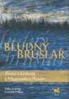 Bludný bruslař (Pověsti a báchorky z Nizozemska a Flander) - obálka