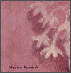 Vladimír Komárek - obálka