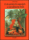 O druidských nápojích a čarodějném bejlí (Léčivé a kouzelné byliny celého světa) - obálka