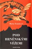 Pod brněnskými věžemi - obálka