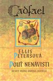 Pouť nenávisti - obálka