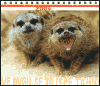 Kalendář 2004 ZOO Praha - Ve dvou se to lépe táhne - obálka