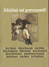 Možná mi porozumíš - obálka