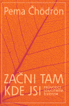 Začni tam, kde jsi (Průvodce soucitným životem) - obálka