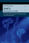 DMT: molekula duše (Převratný vědecký výzkum stavů blízkých smrti a mystických prožitků) - obálka