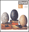 Život 1/2005 (Revue Umělecké besedy) - obálka