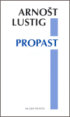 Propast - obálka