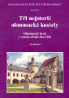 Tři nejstarší olomoucké kostely (Olomoucký hrad v raném středověku) - obálka
