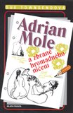 Adrian Mole a zbraně hromadného ničení - obálka
