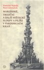 Mariánské, trojiční a další světecké sloupy a pilíře v Pardubickém kraji