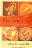 Rozvíjení intuice - obálka