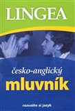 Česko-anglický mluvník - obálka