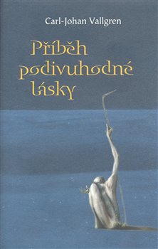 Obálka titulu Příběh podivuhodné lásky