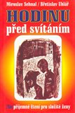Hodinu před svítáním (/Ne/příjemné čtení pro složité ženy) - obálka