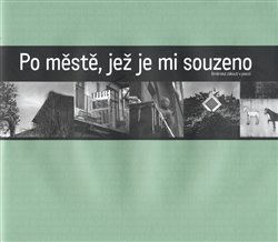 Obálka titulu Po městě, jež je mi souzeno