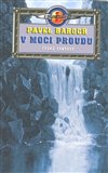 V moci proudu - obálka