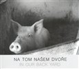 Na tom našem dvoře/ In Our Back Yard - obálka