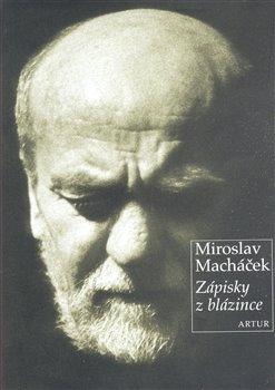 Obálka titulu Zápisky z blázince