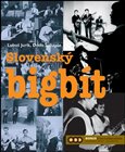 Slovenský bigbít - obálka