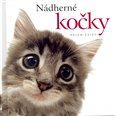 Nádherné kočky - obálka