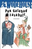 Pan Galahad zasahuje - obálka