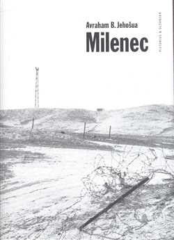 Obálka titulu Milenec