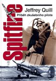 Spitfire - Příběh zkušeného pilota - obálka