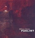 Pukliny - obálka