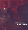 Pukliny