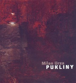 Obálka titulu Pukliny
