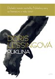 Puklina - obálka