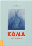 Kóma. Klíč k probouzení - obálka