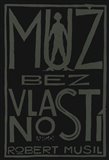 Muž bez vlastností - obálka