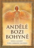 Andělé bozi bohyně (Kniha a 45 karet) - obálka