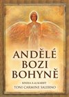 Ob�lka knihy Andělé bozi bohyně