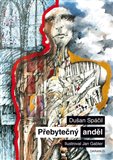 Přebytečný anděl - obálka