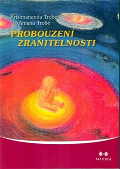 Obálka titulu Probouzení zranitelnosti