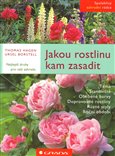 Jakou rostlinu kam zasadit (podle typu zahrady, místa, barvy květů, barvy listů, ročního období) - obálka