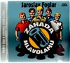 CD-Záhada hlavolamu