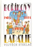 Boříkovy lapálie – Kniha druhá - obálka