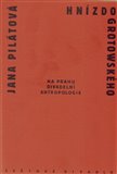 Hnízdo Grotowského (Na prahu divadelní antropologie) - obálka