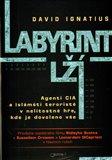 Labyrint lží (Agenti CIA a islámští teroristé v nelítostné hře, kde je dovoleno vše) - obálka