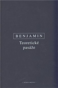 Obálka titulu Teoretické pasáže