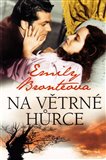 Na Větrné hůrce - obálka