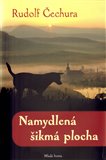 Namydlená šikmá plocha - obálka