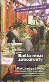 Bašta mezi žabožrouty - obálka