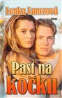 Past na kočku