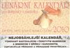 Vaříme dětem + Lunární kalendář pro maminky a miminka 2010