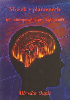 Obálka titulu Mozek v plamenech